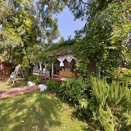 Lims Bona Dea 4* Кемер