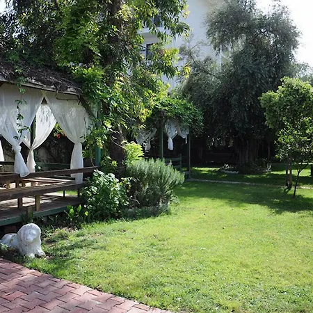 Lims Bona Dea Kemer