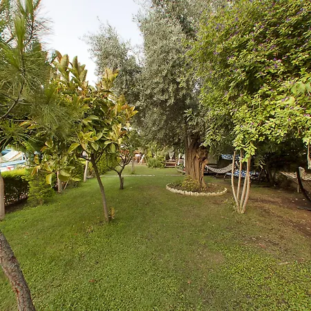 Lims Bona Dea Hotel 4*