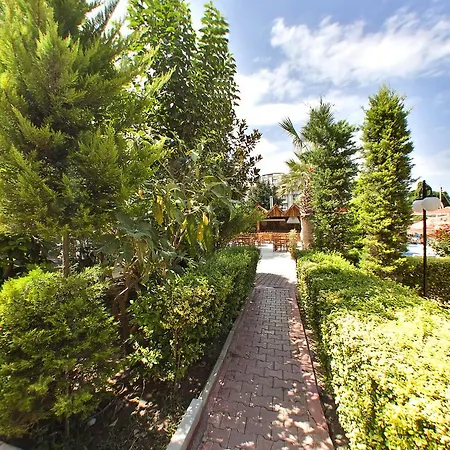 Lims Bona Dea Kemer